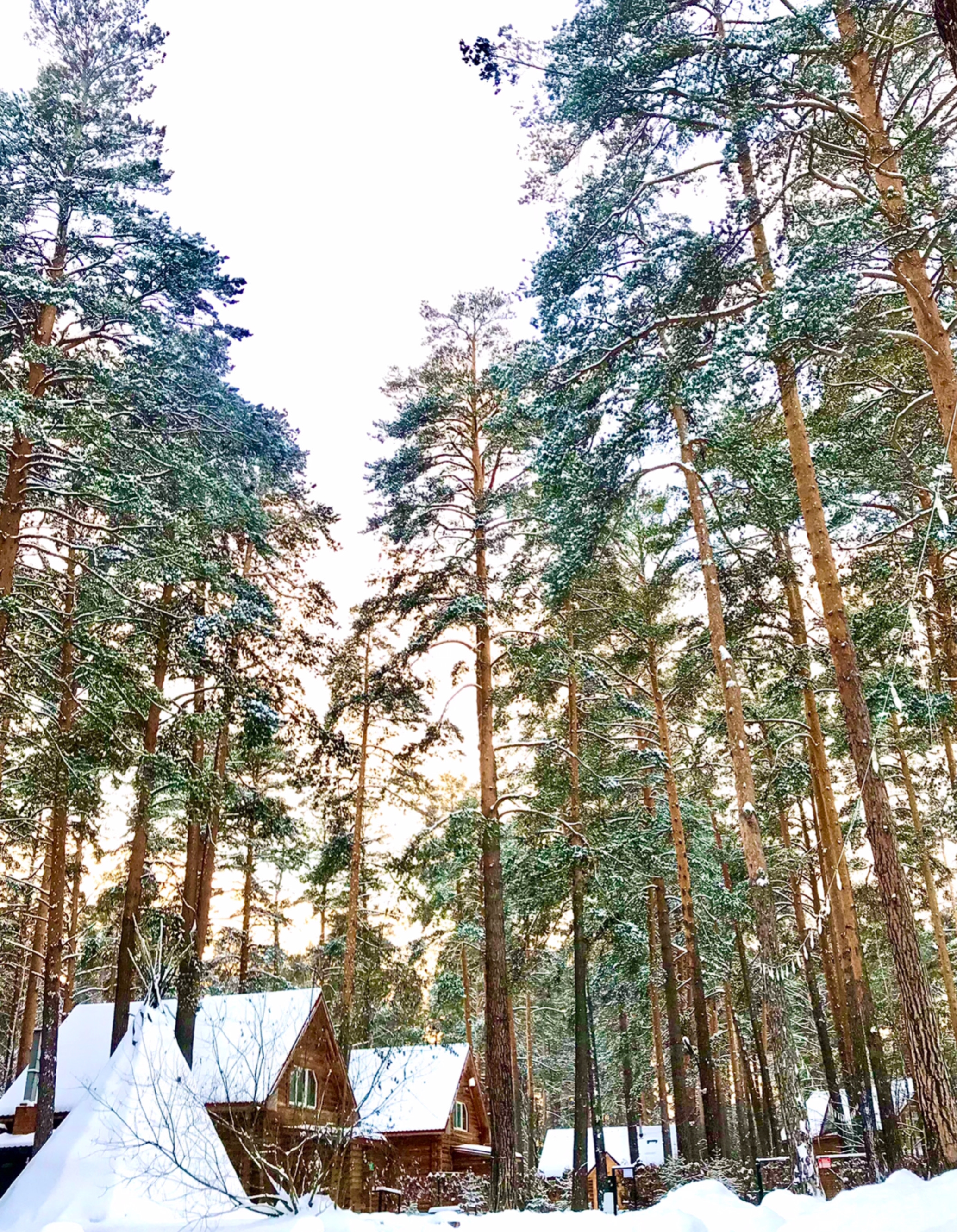 Галерея партнёра